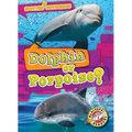 Dolphin or Porpoise?