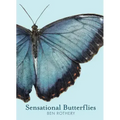 Sensational Butterflies