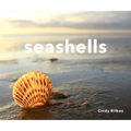 Seashells