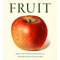 Fruit: From the USDA Pomological Watercolor Collection