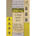 A Book about Bees - Their History, Habits, and Instincts; Together with The First Principles of Modern Bee-Keeping for Young Readers