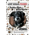 Lost Souls: FOUND! Inspiring Stories About Dogs