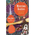 Mysterious Realities: A Dream Traveler's Tales from the Imaginal Realm