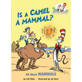 Is a Camel a Mammal? All about Mammals