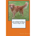 New and Improved How to Raise and Train your Golden Retriever Puppy or Dog
