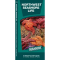 Northwest Seashore Life: A Folding Guide to Familiar Animals & Plants