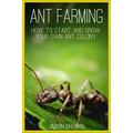 Ant Farming: How to Start and Grow Your Own Ant Colony