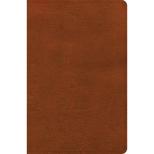 CSB Large Print Personal Size Reference Bible, Digital Study Edition, Burnt Sienna Leathertouch, Indexed