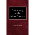 Commentary on the Minor Prophets