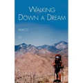 Walking Down a Dream