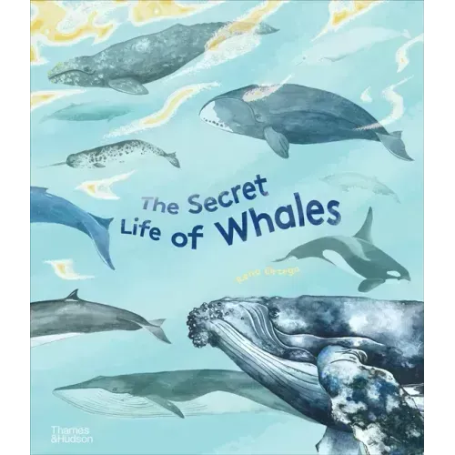 The Secret Life of Whales