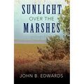 Sunlight Over the Marshes
