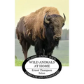 Wild Animals at Home