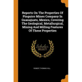 Reports on the Properties of Pinguico Mines Company in Guanajuato, Mexico, Covering the Geological, Metallurgical, Mining and Milling Features of Thes