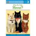 Why Do Cats Meow?