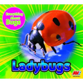 Ladybugs