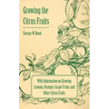 Growing the Citrus Fruits - With Information on Growing Lemons, Oranges, Grape Fruits and Other Citrus Fruits