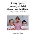 A Very Special Journey of Grief, Grace, and Gratitude: No, They Are Not Okay...but It's Okay! Raising Special Needs Kids