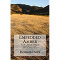 Embedded Amber: Soul- in Search of the Solace