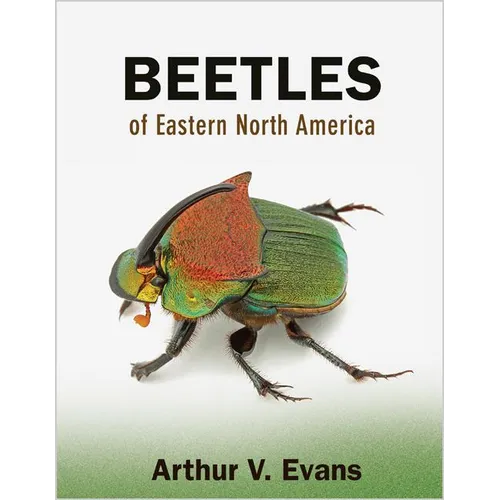 Beetles of Eastern North America