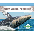 Gray Whale Migration
