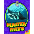 Manta Rays