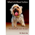 What Is It About Yorkies: Friend or Foe
