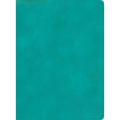 CSB Apologetics Study Bible, Teal Leathertouch