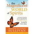 The Magnificient World of Spirits: Eyewitness Accounts of Where We Go When We Die