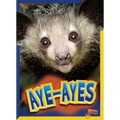 Aye-Ayes