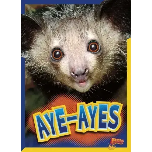 Aye-Ayes