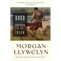 Bard: The Odyssey of the Irish