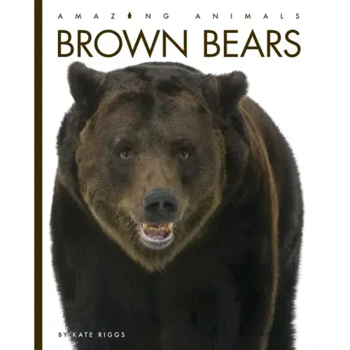 Brown Bears