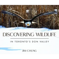 Discovering Wildlife in Toronto's Don Valley