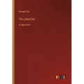 The Lifted Veil: in large print
