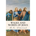 Walks and Words of Jesus