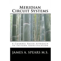 Meridian Circuit Systems: A Channel Based Approach to Pattern Identification