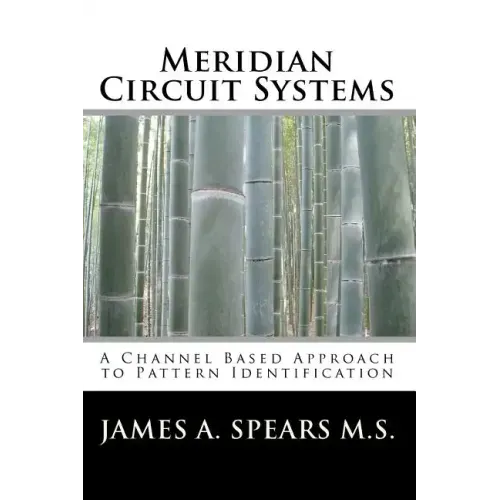 Meridian Circuit Systems: A Channel Based Approach to Pattern Identification