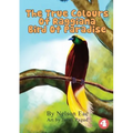 The True Colours Of Raggiana Bird Of Paradise