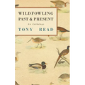 Wildfowling Past & Present - An Anthology