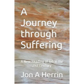 A Journey through Suffering: A New Reading of Job in the 21st Century