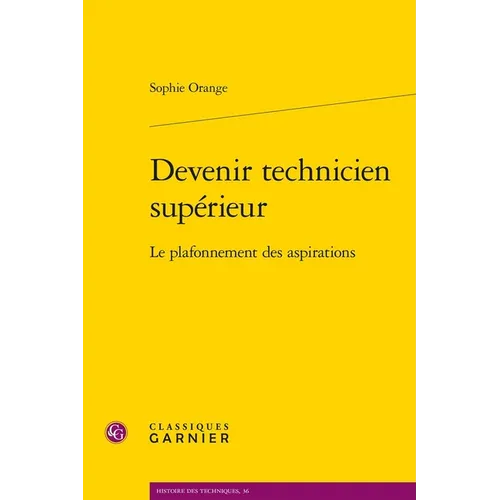 Devenir Technicien Superieur: Le Plafonnement Des Aspirations
