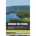 Between the Cracks: Forgotten Stories of Amsterdam NY & the Mohawk Valley