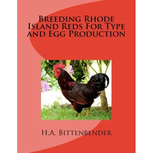 Breeding Rhode Island Reds For Type and Egg Production