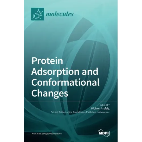 Protein Adsorption and Conformational Changes