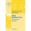 Binary Quadratic Forms: An Algorithmic Approach