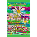 The Fantastical Tumultuous Non-stop Thoughts of Linda!