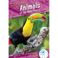 Animals of the Rain Forest