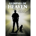 Glimpses of Heaven: Dream Visitations from the Afterlife-And a Visit to Eternity