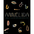 Annelida